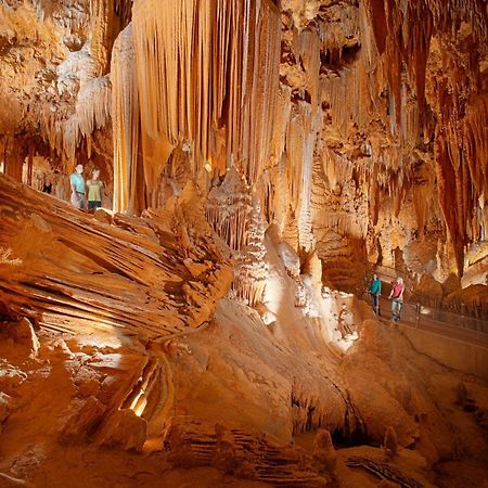 Luray Caverns Motels Rum bild