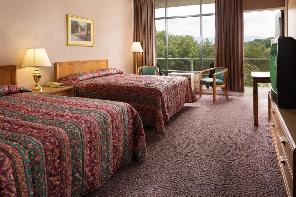 Luray Caverns Motels Rum bild